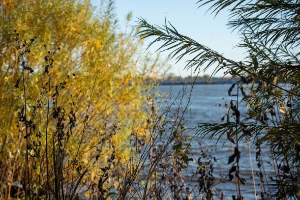Stimmungsbild mit Ausblick auf die Elbe