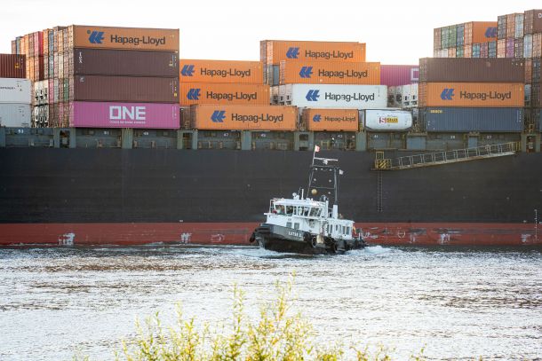 Flair mit Containerschiff an der Elbe