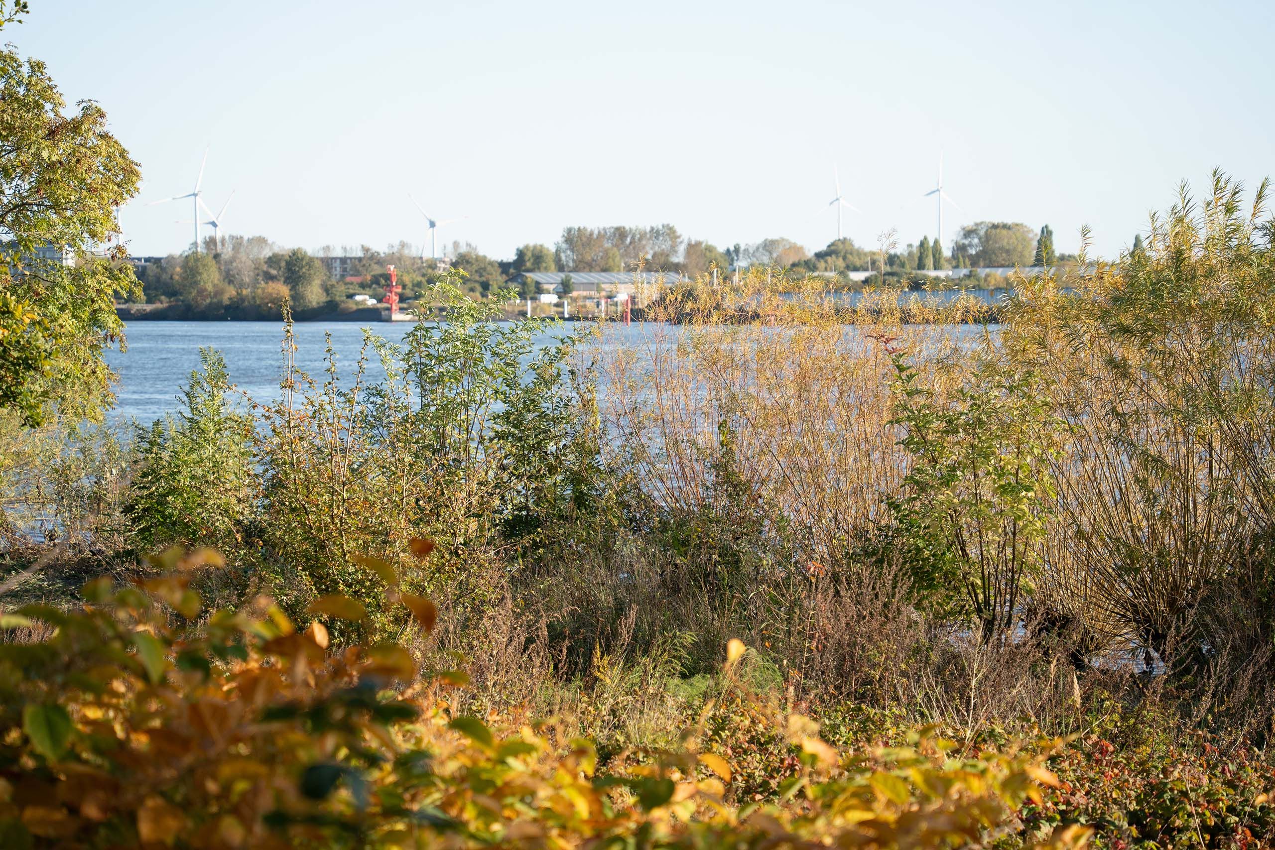 Schöne Lage an der Elbe